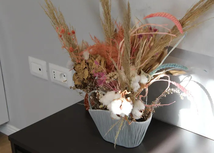 Tirana Ideal Apartment